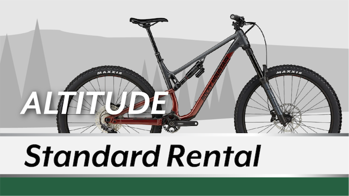 Enduro Mountain Bike- Altitude