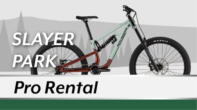 Downhill Mountain Bike- Slayer
